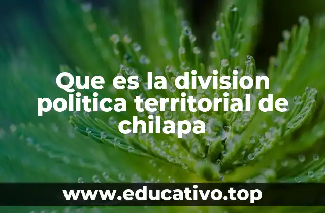 Que es la division politica territorial de chilapa