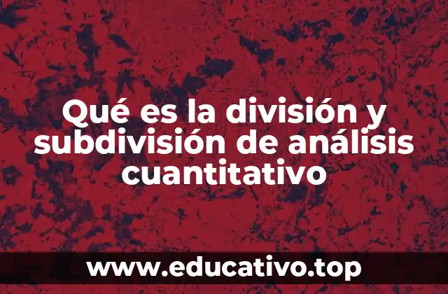 Qué es la división y subdivisión de análisis cuantitativo