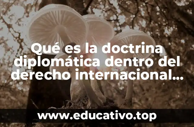 Qué es la doctrina diplomática dentro del derecho internacional público