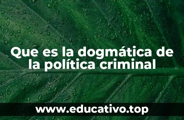Que es la dogmática de la política criminal