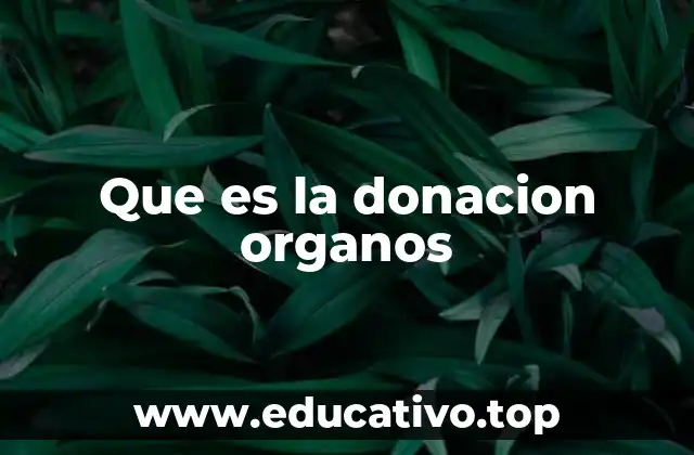 Que es la donacion organos