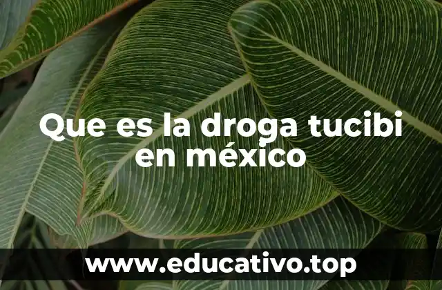 Que es la droga tucibi en méxico