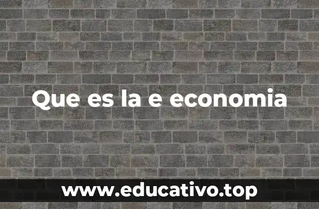 Que es la e economia