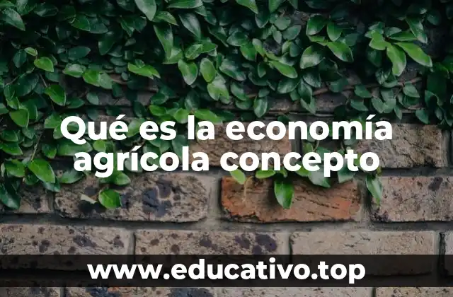 Qué es la economía agrícola concepto