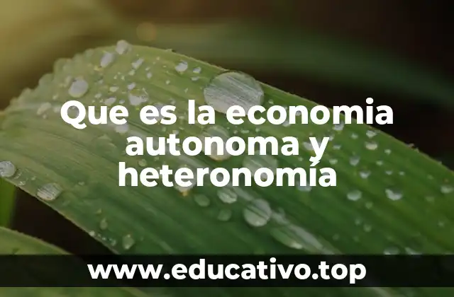 Que es la economia autonoma y heteronomía