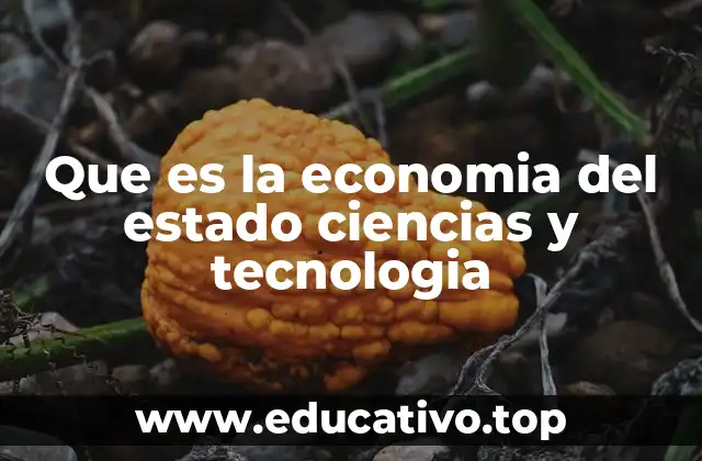 Que es la economia del estado ciencias y tecnologia
