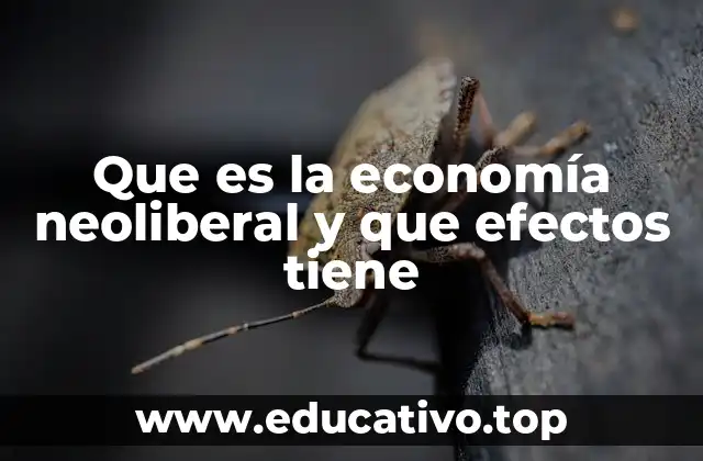 Que es la economía neoliberal y que efectos tiene