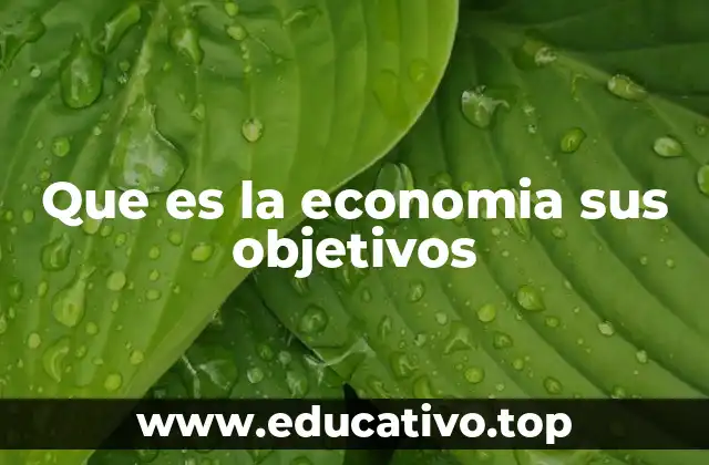 Que es la economia sus objetivos
