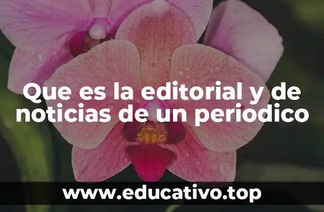Que es la editorial y de noticias de un periodico