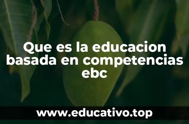 Que es la educacion basada en competencias ebc