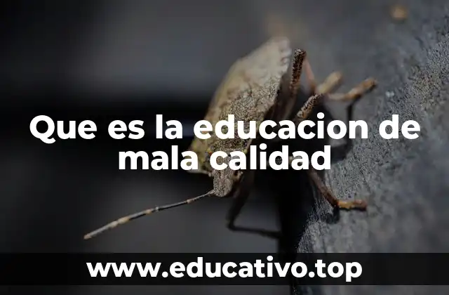 Que es la educacion de mala calidad