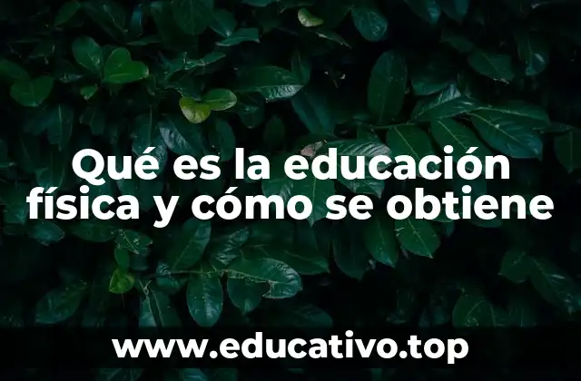 Qué es la educación física y cómo se obtiene
