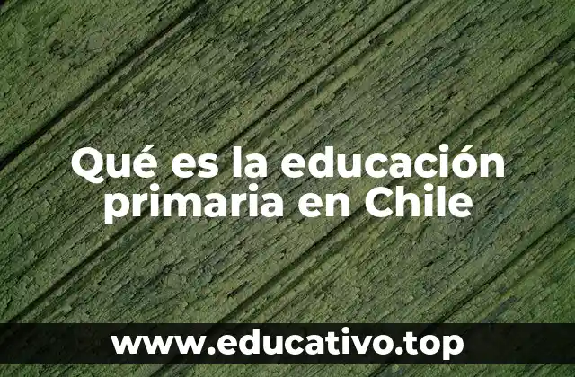 Qué es la educación primaria en Chile
