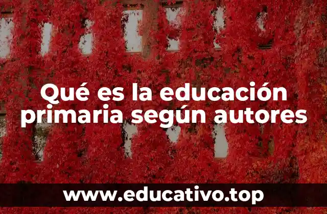 Qué es la educación primaria según autores
