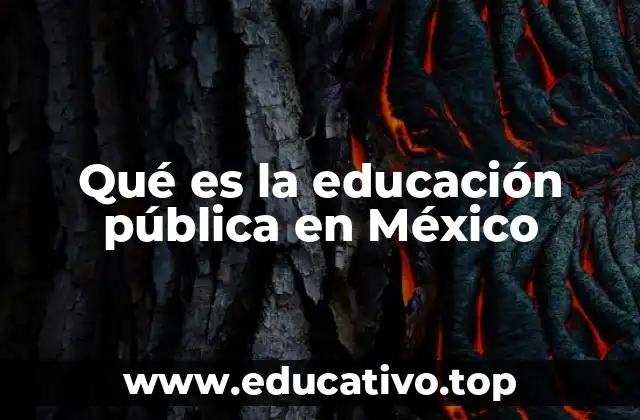 La importancia de la educación pública en la formación ciudadana