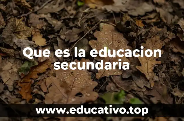 Que es la educacion secundaria