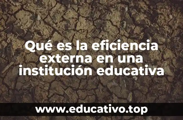 El rol de la educación en la transformación social