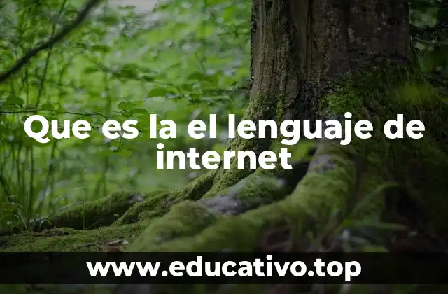 Que es la el lenguaje de internet