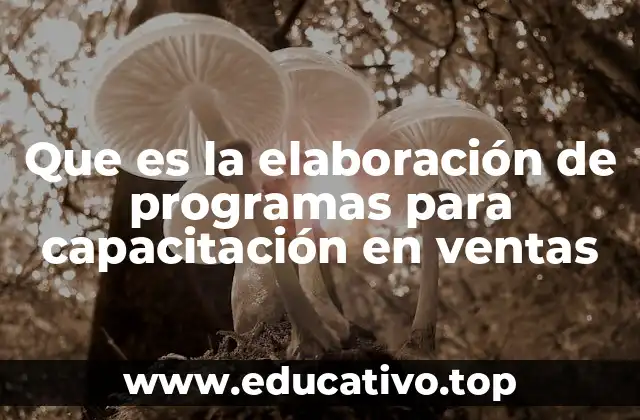 Que es la elaboración de programas para capacitación en ventas