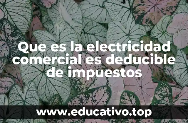 Que es la electricidad comercial es deducible de impuestos