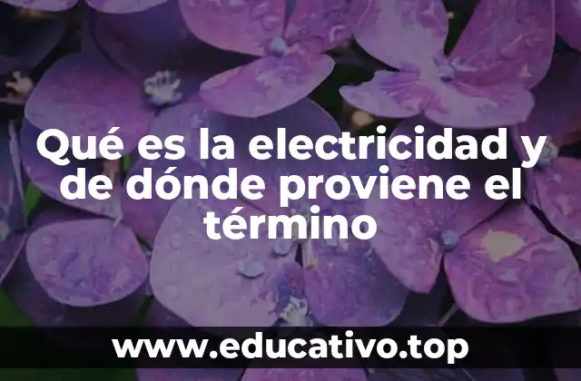 El desarrollo histórico de la electricidad