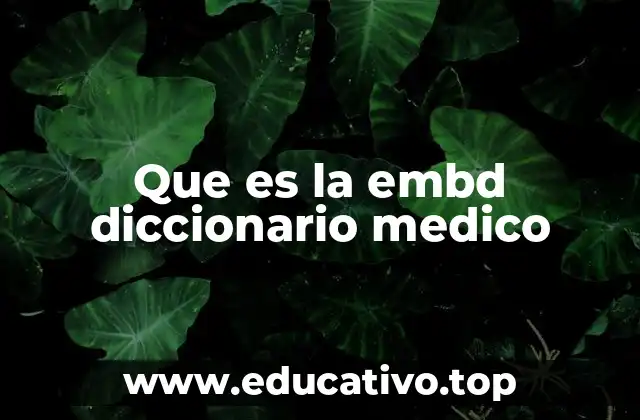 La importancia de los diccionarios médicos multilingües