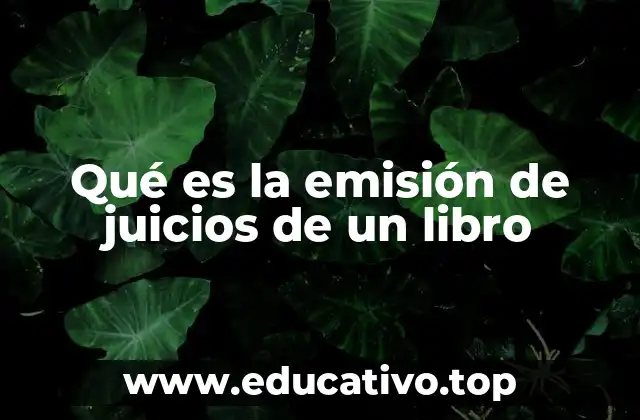 Qué es la emisión de juicios de un libro