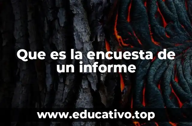 La importancia de la recolección de datos en los informes