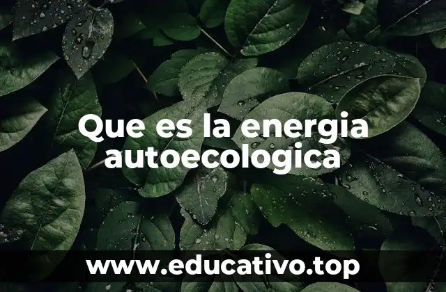 La interacción entre energía y naturaleza