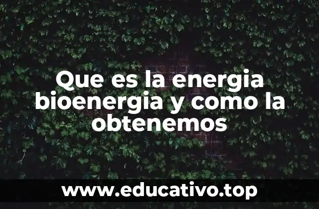 Que es la energia bioenergia y como la obtenemos