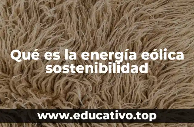 Qué es la energía eólica sostenibilidad