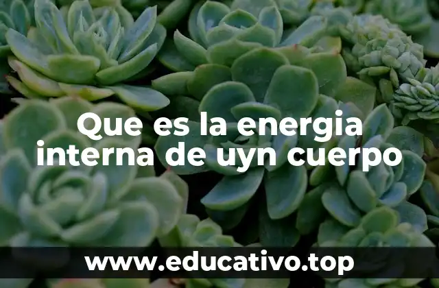 Que es la energia interna de uyn cuerpo