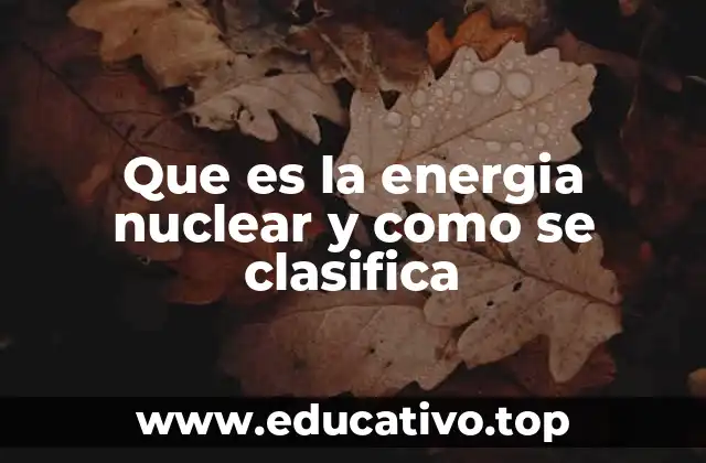 Que es la energia nuclear y como se clasifica