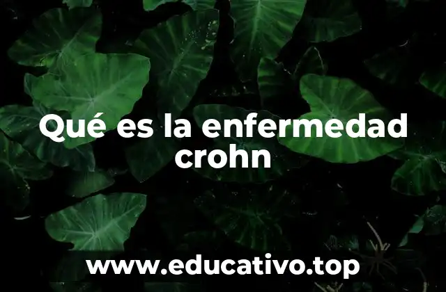 Cómo se manifiesta la enfermedad Crohn sin mencionar el nombre