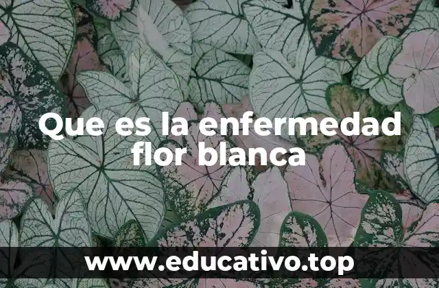 Que es la enfermedad flor blanca
