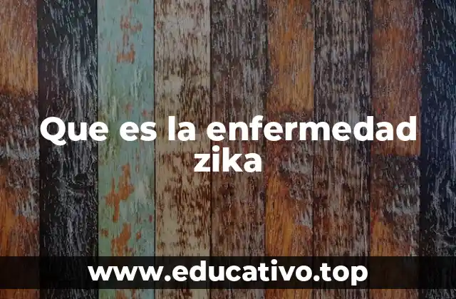 Que es la enfermedad zika