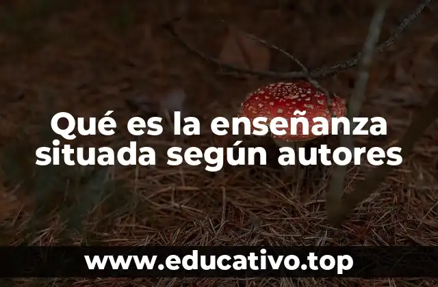 Qué es la enseñanza situada según autores