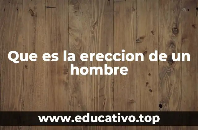 El proceso fisiológico detrás del fenómeno