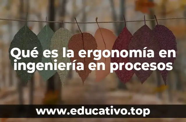 Qué es la ergonomía en ingeniería en procesos
