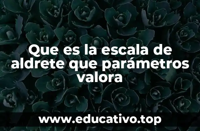 Que es la escala de aldrete que parámetros valora