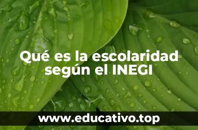 Qué es la escolaridad según el INEGI