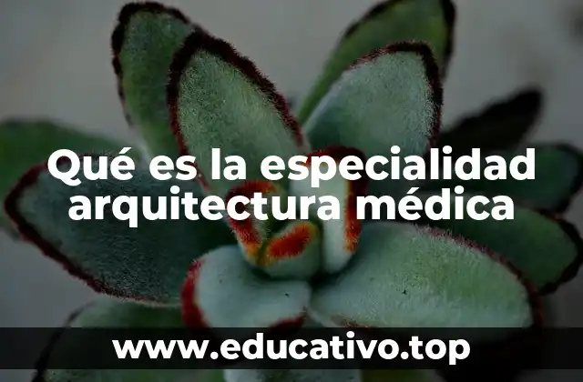 Qué es la especialidad arquitectura médica