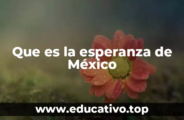 Que es la esperanza de México