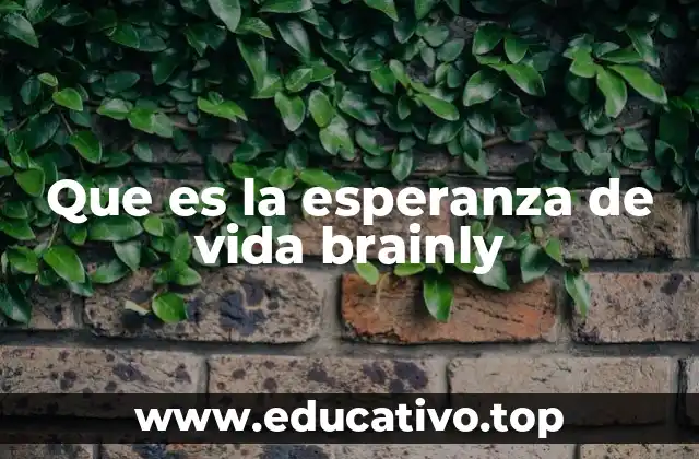 Que es la esperanza de vida brainly