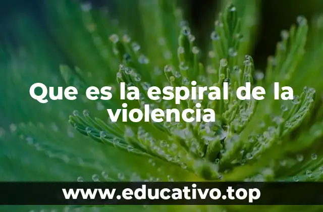 Que es la espiral de la violencia