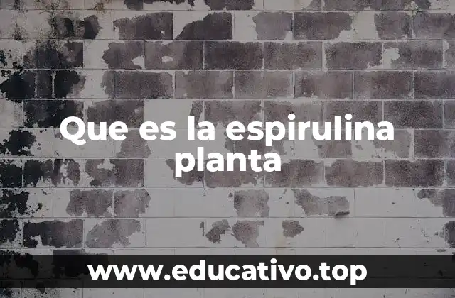 Que es la espirulina planta