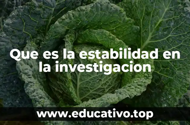 Que es la estabilidad en la investigacion