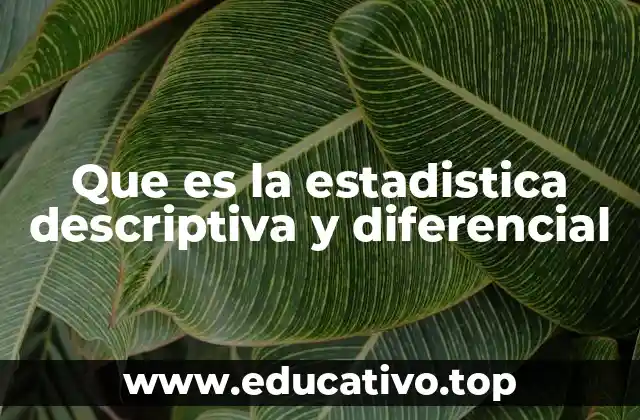 Que es la estadistica descriptiva y diferencial