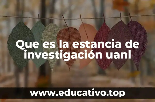 Que es la estancia de investigación uanl