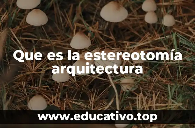 Que es la estereotomía arquitectura